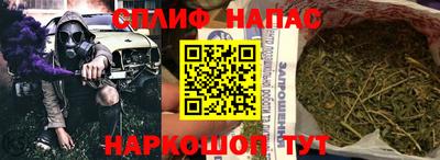 сатива Гусиноозёрск