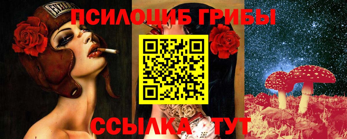 Псилоцибиновые грибы MAGIC MUSHROOMS Карачаевск