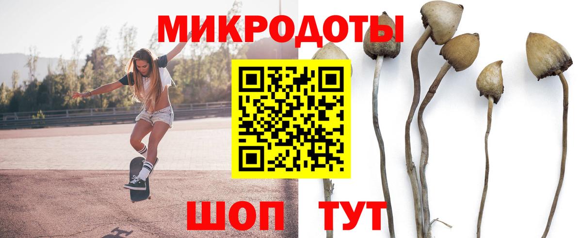 Галлюциногенные грибы Magic Shrooms  Вход с VPN  Карачаевск 