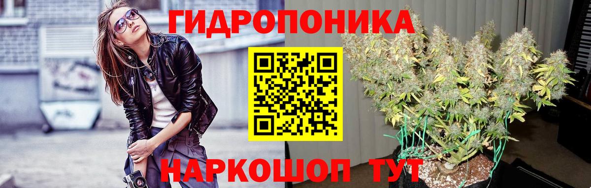 Каннабис OG Kush Карачаевск